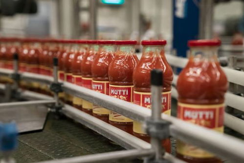 意大利知名番茄制品品牌慕意mutti抗逆而行,2023年番茄加工季成功收官